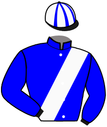 Casaque du n°8 — NENESSE PECE