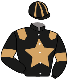 Casaque du n°10 — LUNIK DU CHOQUEL