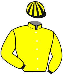 Casaque du n°7 — KRISTOBAL