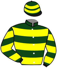 Casaque du n°2 — SKYTREE