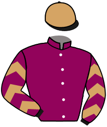 Casaque du n°3 — LE MATELOT