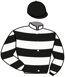 Casaque du n°7 — SALVADOR JUNIOR