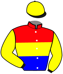 Casaque du n°13 — XILOFONO