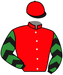 Casaque du n°8 — NOLITO