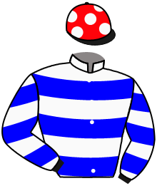 Casaque du n°1 — FRISSONANTE