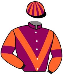 Casaque du n°2 — GOSEA
