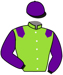Casaque du n°2 — PERSIS