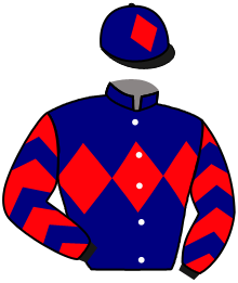Casaque du n°11 — HAUTE GAMME