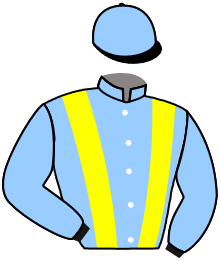 Casaque du n°1 — INDY B