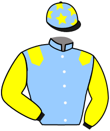 Casaque du n°3 — OSHIA