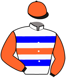 Casaque du n°3 — FINANA