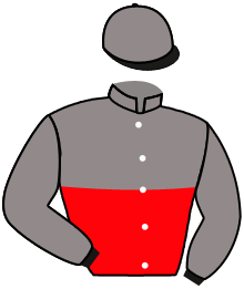 Casaque du n°11 — EL VALE