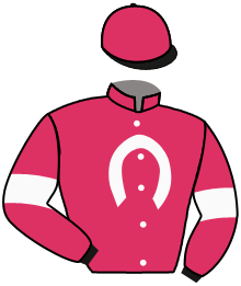 Casaque du n°3 — BEBETO