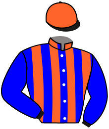Casaque du n°11 — QUINTANAR DEL REY