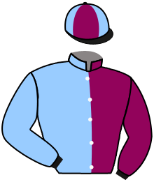 Casaque du n°2 — TIMBALERO