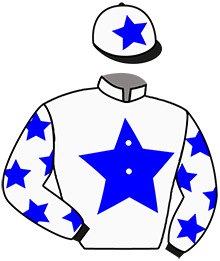 Casaque du n°3 — CAMPEON AVENUE