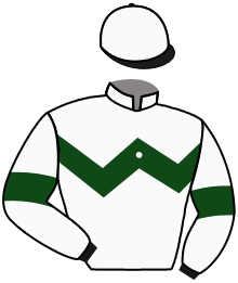 Casaque du n°1 — PELIGROSA