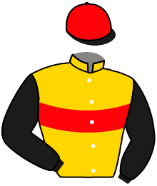 Casaque du n°8 — INTERCOQUETA