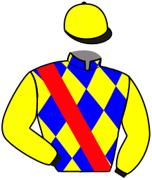 Casaque du n°13 — DIEPPE
