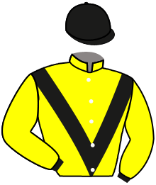 Casaque du n°7 — L'ELU DE SADDLE