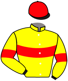 Casaque du n°1 — SILVER CONDOR
