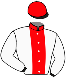 Casaque du n°1 — HARING OKINA