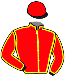 Casaque du n°3 — NOVO SUPREME