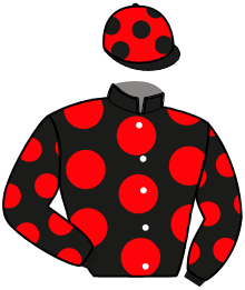 Casaque du n°14 — LINO DU POMMEREUX