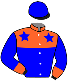 Casaque du n°3 — LOTTERIO