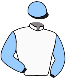 Casaque du n°12 — ARTEMIDE