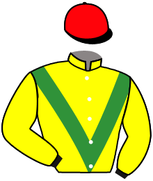 Casaque du n°13 — ALBERTINE