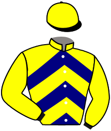 Casaque du n°7 — LILY DE LA LONDE