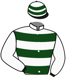 Casaque du n°13 — OVALIE