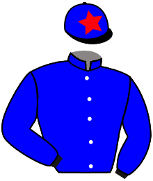 Casaque du n°6 — AIGLE NOIR