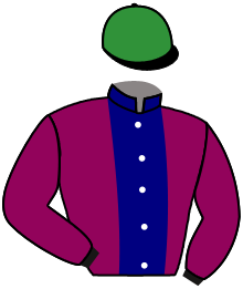 Casaque du n°9 — VADIVAR
