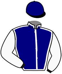 Casaque du n°1 — CHARMINO