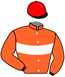 Casaque du n°12 — IMOUN JERSEY