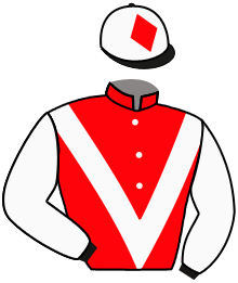 Casaque du n°5 — EARL OF SHANNON