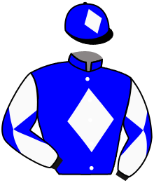 Casaque du n°11 — KINGMAN D'AMSYL