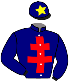 Casaque du n°15 — KIMARILLO