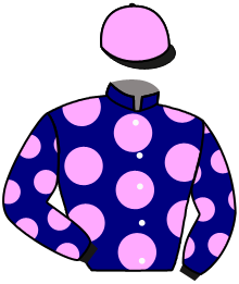 Casaque du n°5 — SOBEST