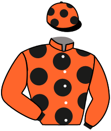 Casaque du n°7 — LEANDRO NONANTAIS