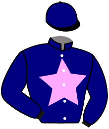 Casaque du n°12 — BREEZE D'AUTEUIL
