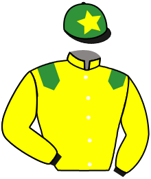 Casaque du n°7 — KOLOMBIN DES ISLES