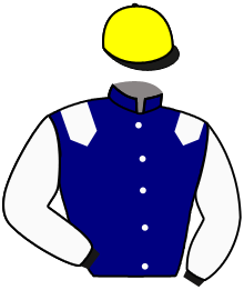 Casaque du n°2 — MEROVEE