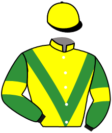 Casaque du n°5 — KARIGOLIA