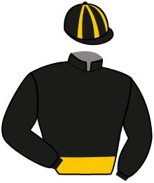 Casaque du n°7 — INDY BYD