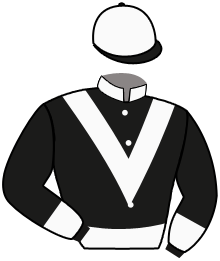 Casaque du n°6 — PANCAKE WOOD