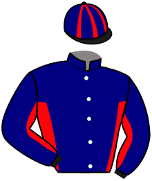 Casaque du n°4 — HABIBII