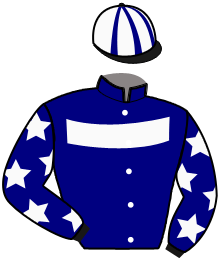 Casaque du n°7 — ROBERT STREAMLINE